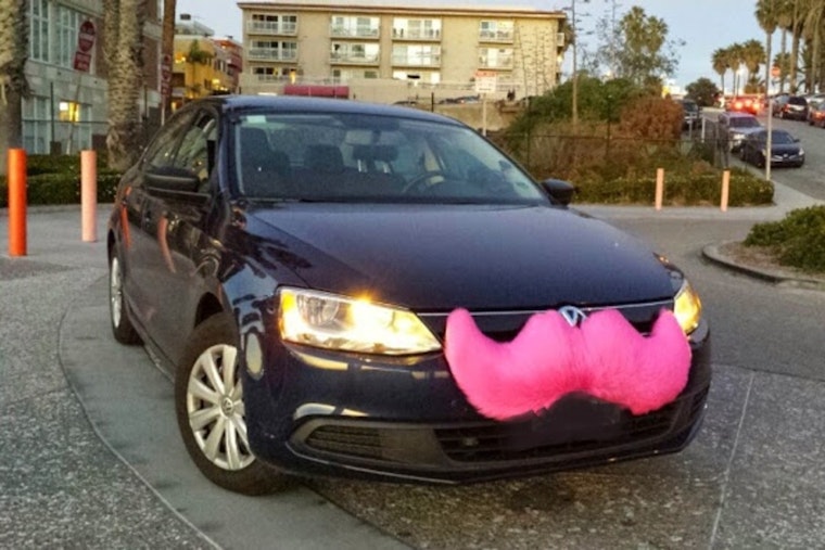 Lyft Slapped With $63K Payout After Minnesota Guide Dog Rider Left Stranded