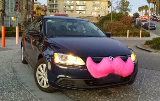 Lyft Slapped With $63K Payout After Minnesota Guide Dog Rider Left Stranded