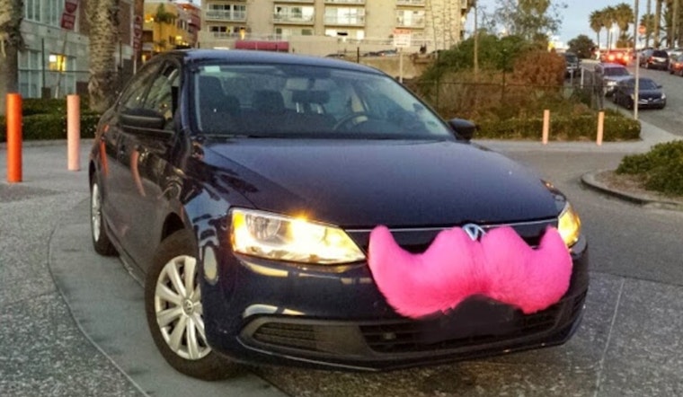 Lyft Slapped With $63K Payout After Minnesota Guide Dog Rider Left Stranded