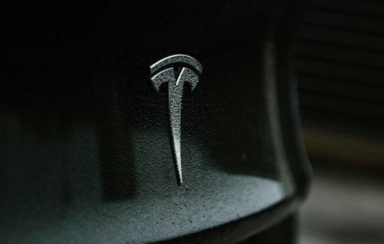 Lyndhurst Slaps Quiet Zone On Tesla Honk Protests, Stirring Free‑Speech Clash