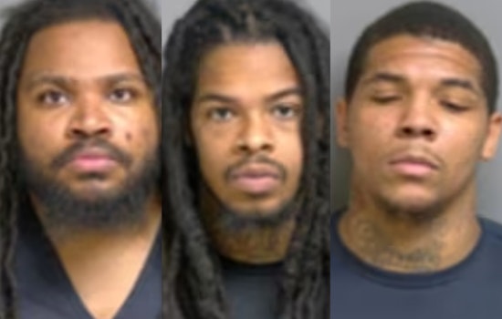 Macomb Court Sends Alleged Ram Rippers To Trial In Truck Screen Heist Spree
