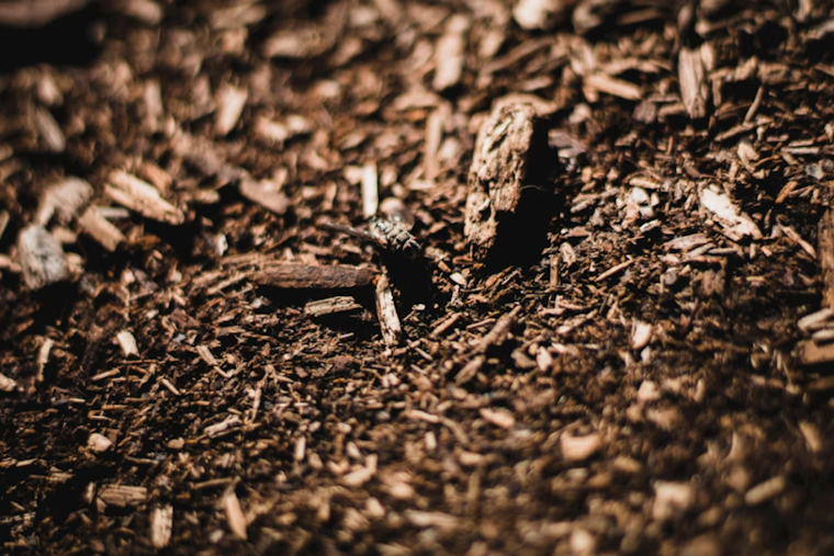 Malabar Neighbors Cry Foul Over Reeking Mulch Fire Next Door