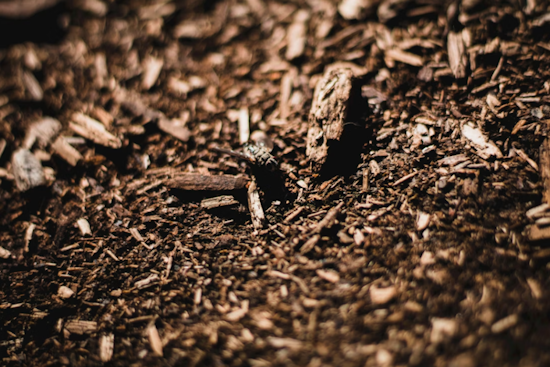 Malabar Neighbors Cry Foul Over Reeking Mulch Fire Next Door