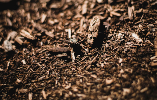 Malabar Neighbors Cry Foul Over Reeking Mulch Fire Next Door
