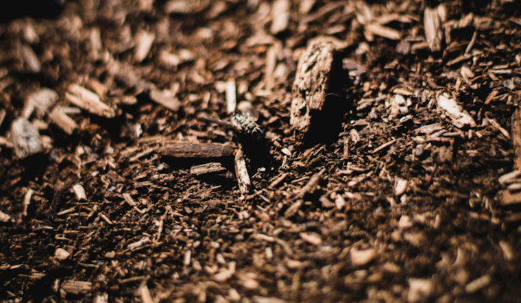 Malabar Neighbors Cry Foul Over Reeking Mulch Fire Next Door