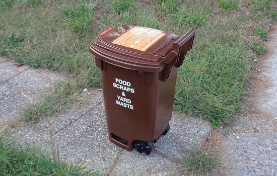 Mamdani’s Quiet Compost Crackdown Catches New Yorkers Off Guard