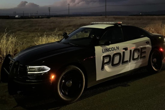 Markham Ravine Park Shock as Lincoln Nanny Busted After Child Injured