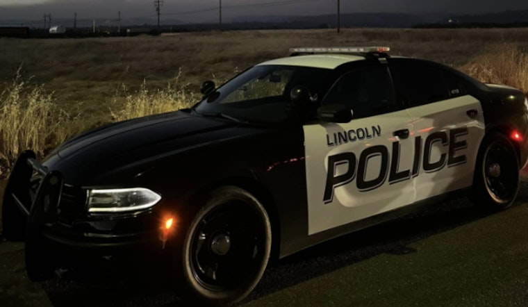 Markham Ravine Park Shock as Lincoln Nanny Busted After Child Injured