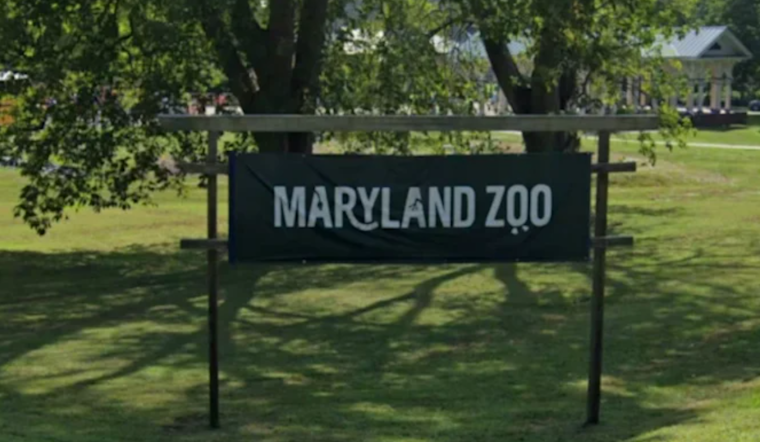 Maryland Zoo Celebrates 150th With Red Panda Habitat