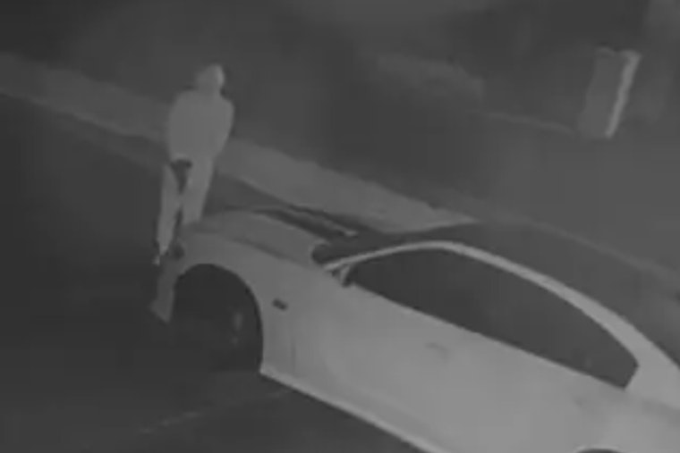 Mask-Wearing Gunman Helps Swipe Dodge Charger From Washington Township Driveway
