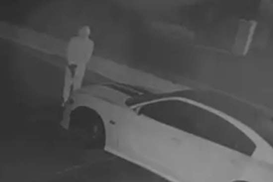 Mask-Wearing Gunman Helps Swipe Dodge Charger From Washington Township Driveway