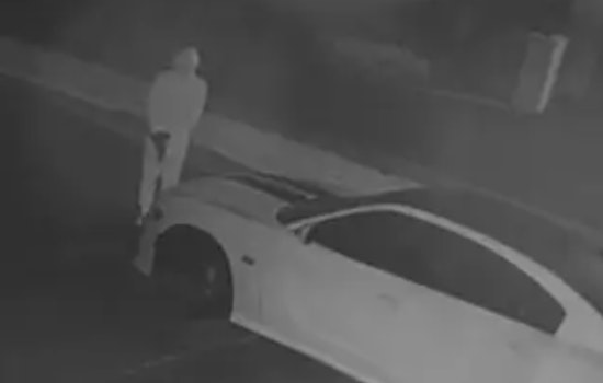 Mask-Wearing Gunman Helps Swipe Dodge Charger From Washington Township Driveway
