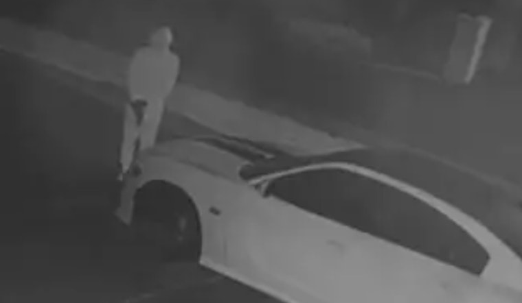 Mask-Wearing Gunman Helps Swipe Dodge Charger From Washington Township Driveway