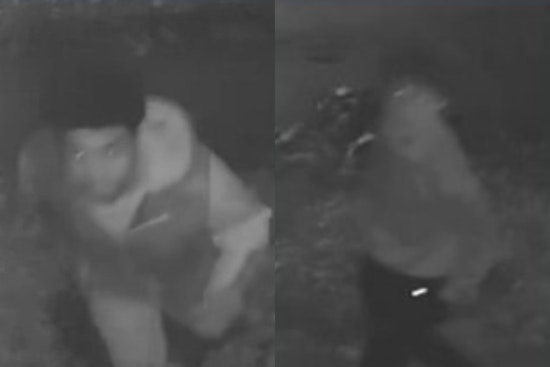 Masked Duo Botch Carthage Break-In, Bolt After Window Try