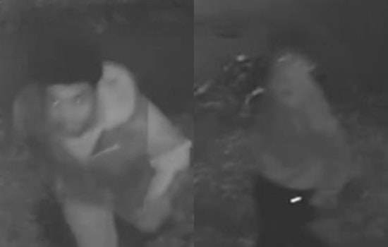 Masked Duo Botch Carthage Break-In, Bolt After Window Try