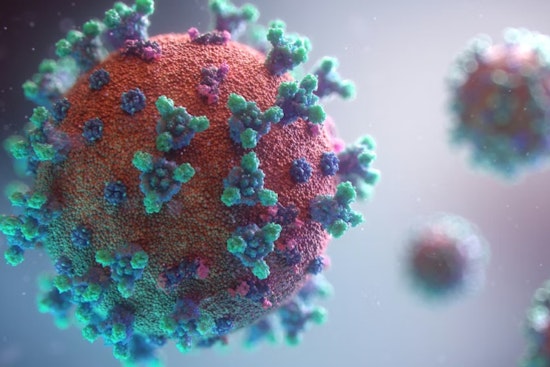 Measles Scare Hits Salt Lake Hotspots: Aquarium, Clinic Put on Alert