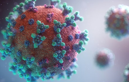 Measles Scare Hits Salt Lake Hotspots: Aquarium, Clinic Put on Alert