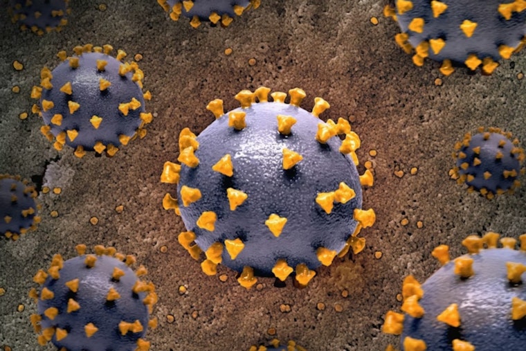 Measles Scare Spreads From Primary Children’s Er To Holladay Megaplex Screens