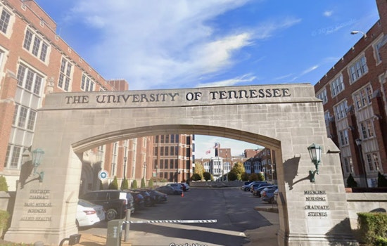 Memphis OT Program Rocked as Five Profs Walk Out After Abuse Uproar