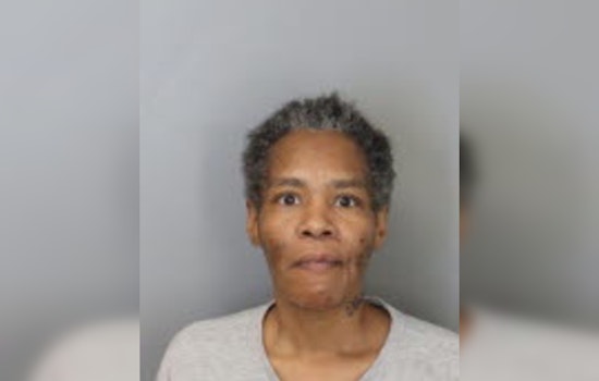 Memphis Woman Arrested After Butcher-Knife Threats in Binghampton