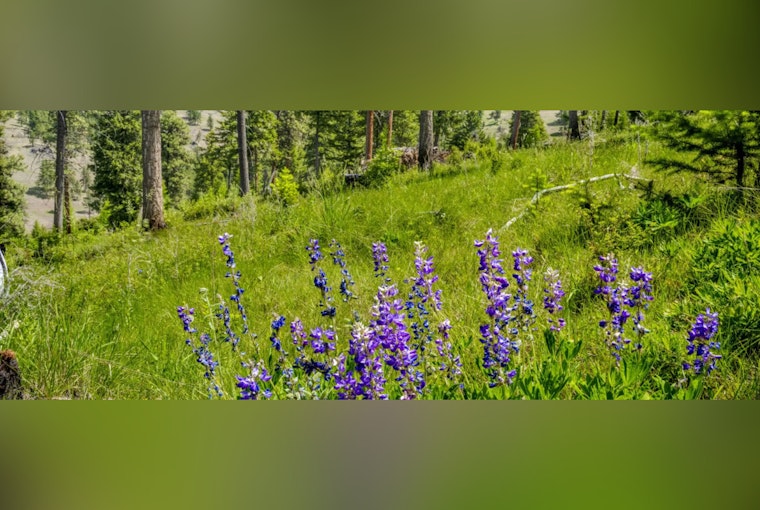 Merlo Foundation Walks, Eastern Oregon Wildlife Deal Craters