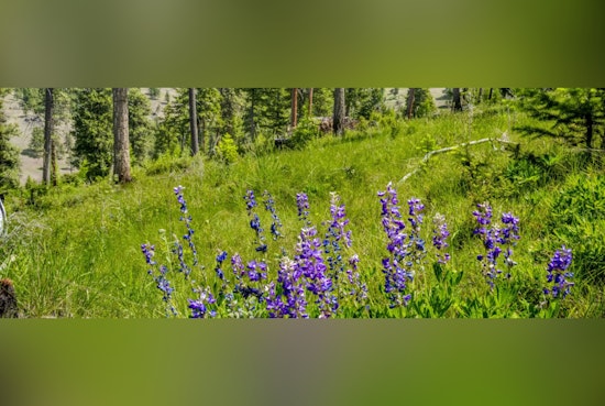 Merlo Foundation Walks, Eastern Oregon Wildlife Deal Craters