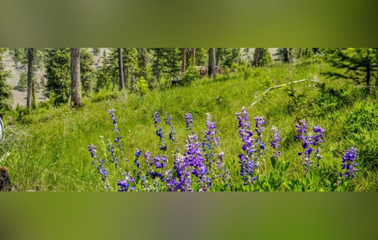 Merlo Foundation Walks, Eastern Oregon Wildlife Deal Craters
