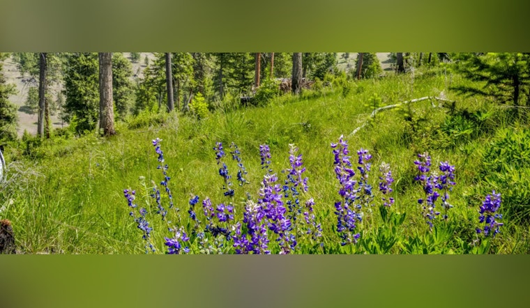 Merlo Foundation Walks, Eastern Oregon Wildlife Deal Craters