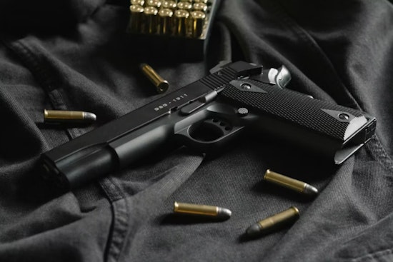 Michigan Red Flag Law Triggers Hundreds Of Gun Seizure Orders