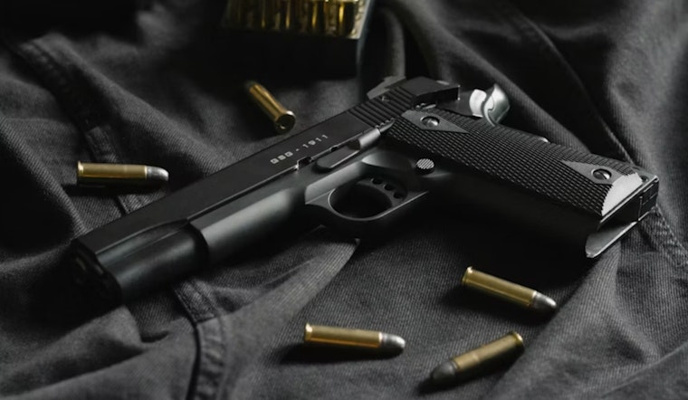 Michigan Red Flag Law Triggers Hundreds Of Gun Seizure Orders