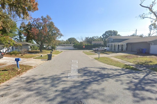 Midnight K‑9 Bust, Deputies Say Tampa Man Trolled Ranchwood Lane Cars