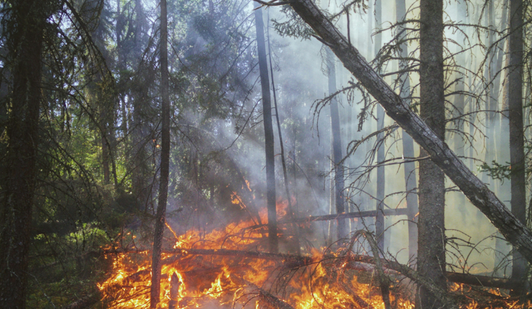 Midpines Blaze Erupts In Yosemite Gateway As Fire Crews Race In