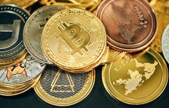 Mile High Crypto Meltdown: Denver Bitcoin Buddies Battle Over $25 Million Loan
