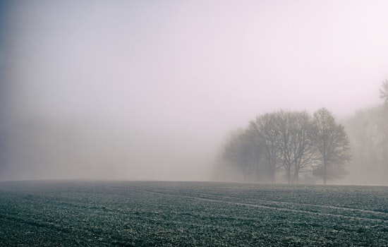 Milwaukee Vanishes In Morning Fog As Stormy Friday Moves In