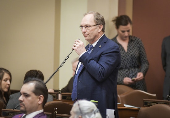 Minnesota Lawmaker Proposes Expanding House and Shrinking Senate to Avoid Tie Votes