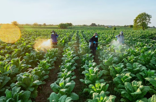 Minnesota Lawmakers Move To Ban Paraquat Over Parkinson’s Risk
