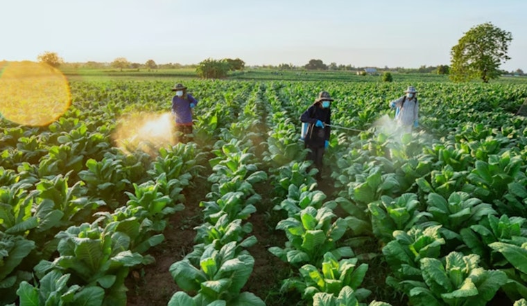 Minnesota Lawmakers Move To Ban Paraquat Over Parkinson’s Risk