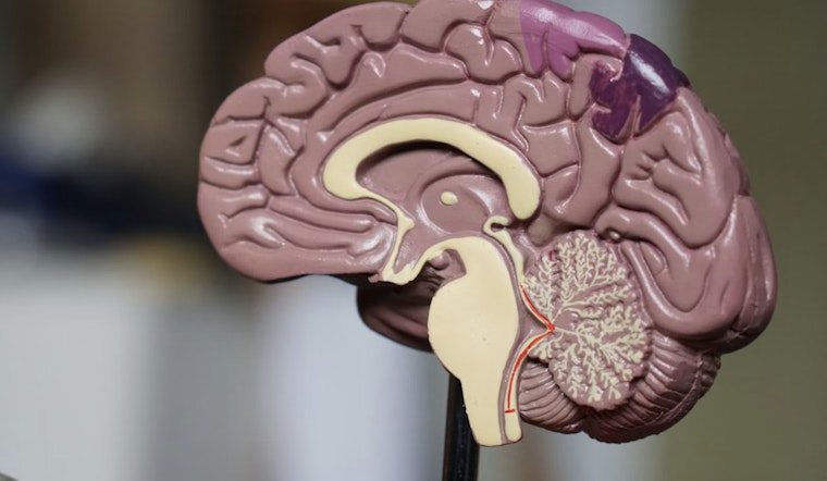 MIT Brain Team Blames Tiny RNA For Rett’s Leaky Vessel Problem