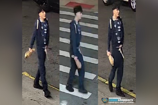 Mob of Five Rips Driver From 2024 Toyota in Coney Island Beatdown