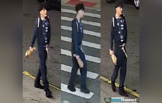 Mob of Five Rips Driver From 2024 Toyota in Coney Island Beatdown
