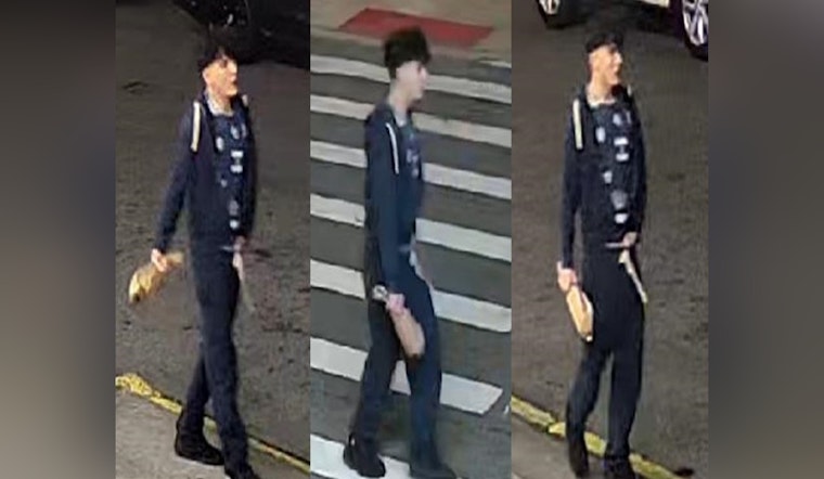 Mob of Five Rips Driver From 2024 Toyota in Coney Island Beatdown