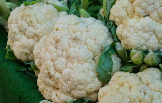 Moldy Veggies, Warm Eggs Rattle Phoenix Grocery Shoppers
