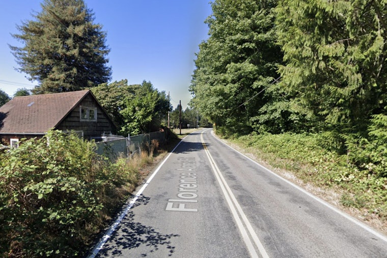 Monroe Driver Killed As Tree Slams Onto Car In Fierce Wind Gusts