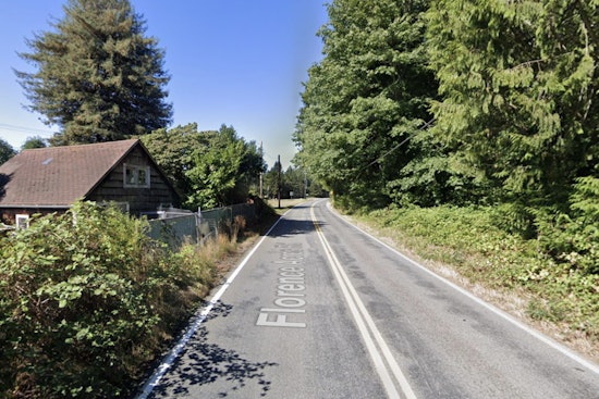 Monroe Driver Killed As Tree Slams Onto Car In Fierce Wind Gusts