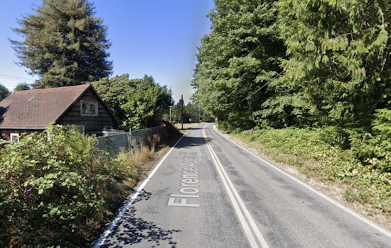 Monroe Driver Killed As Tree Slams Onto Car In Fierce Wind Gusts