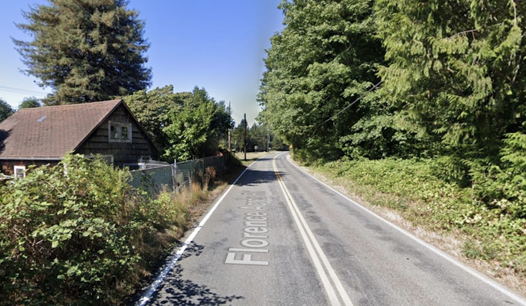 Monroe Driver Killed As Tree Slams Onto Car In Fierce Wind Gusts