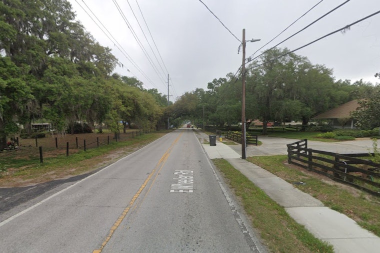 Morning Jogger Finds 9-Foot Gator Lurking at Seffner School Bus Stop