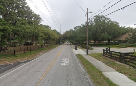 Morning Jogger Finds 9-Foot Gator Lurking at Seffner School Bus Stop