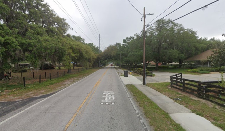 Morning Jogger Finds 9-Foot Gator Lurking at Seffner School Bus Stop