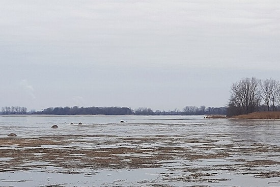 Motor City Weather Whiplash: Gusty Sunday Storms To Freezing Tuesday Crash